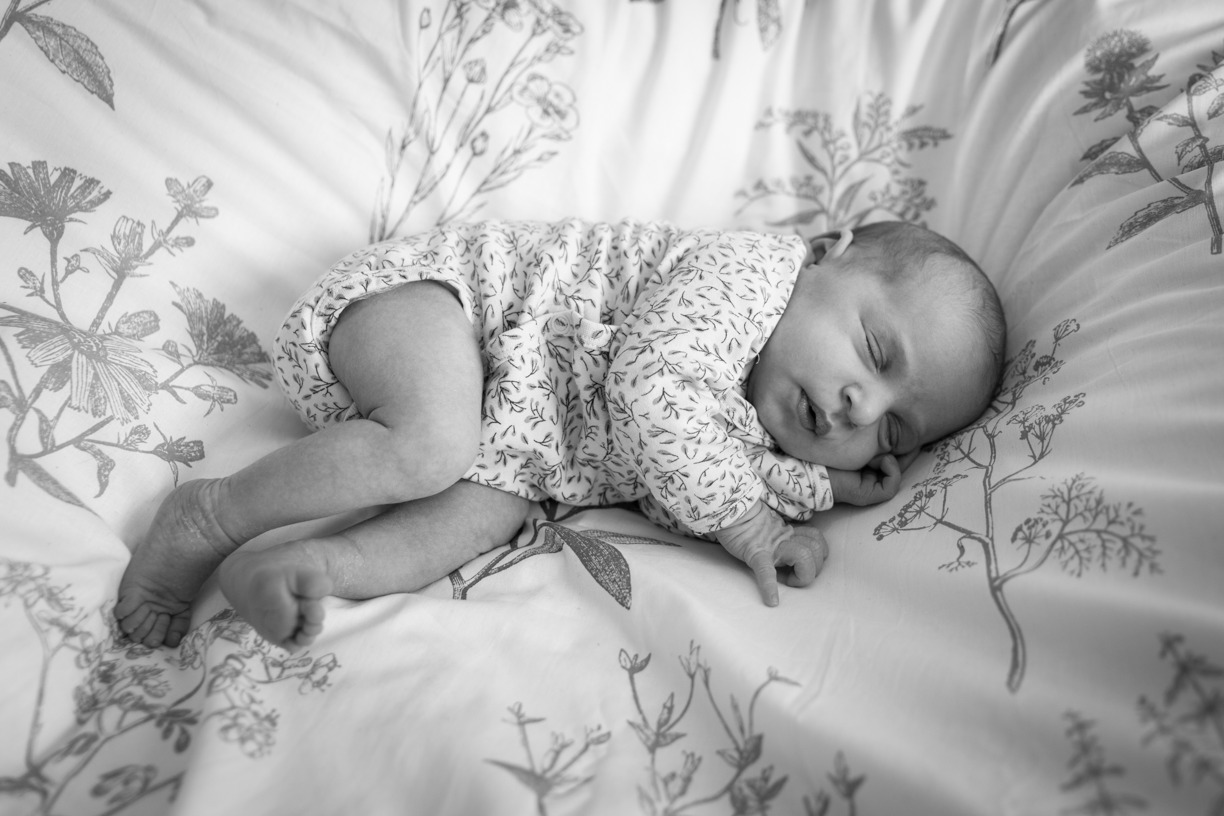 seance photo nouveau ne 15