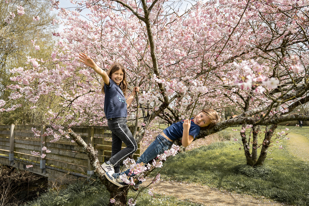 séance photo enfant 4